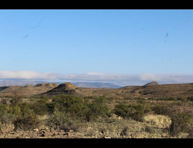 5,614HA FARM FOR SALE IN MERWEVILLE